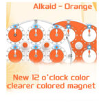 ESTAR Clock Bearing Version - Image 3
