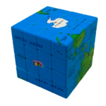Standard World Map - Image 8